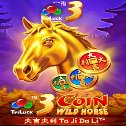 Exploring 3CoinWildHorse and the Official 13E Platform